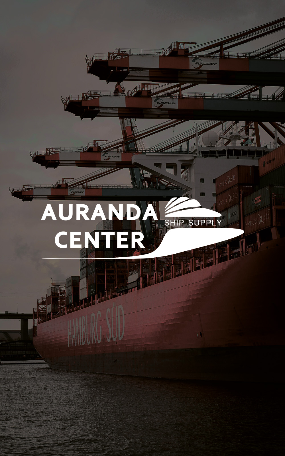 Auranda Center logo